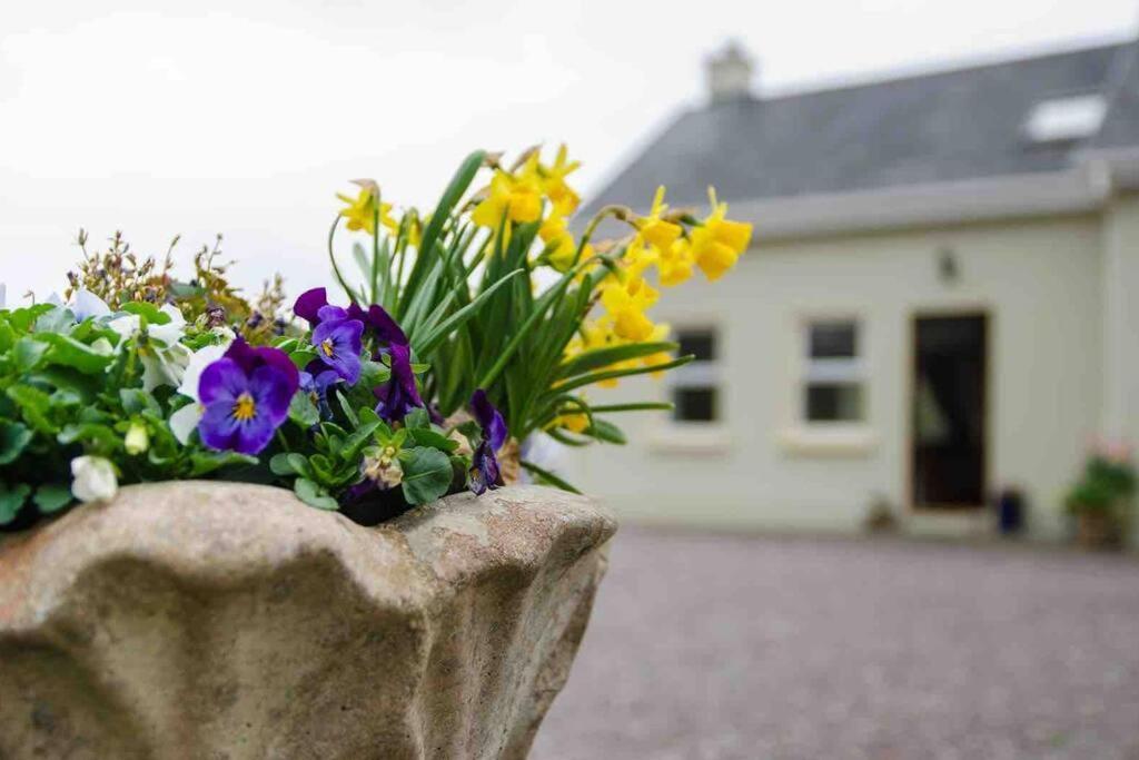 Kingfisher Riverside Retreat Kenmare Dış mekan fotoğraf